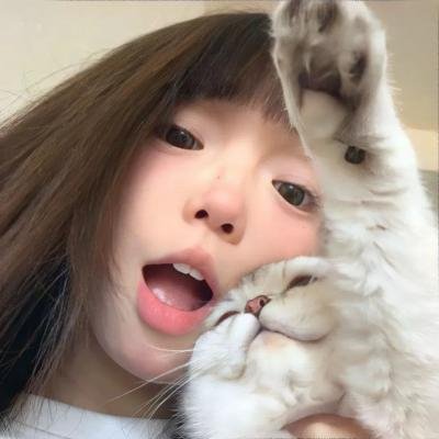 美丽的凯特