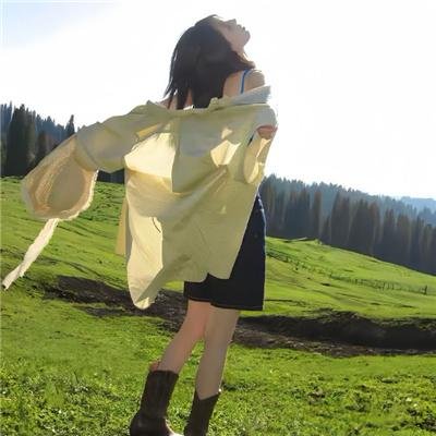 莉兹与青鸟